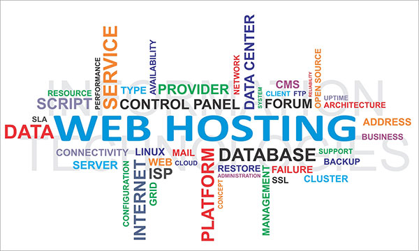 Domain Name & Server hosting